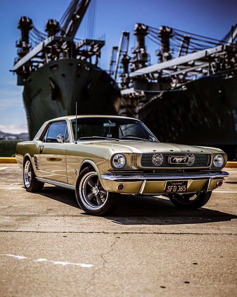 Car Interior Organization, Ford Mustang Classic, Find A Partner, 66 Mustang, Plymouth Duster, 1969 Dodge Charger, Ford Mustang Coupe, Mopar Muscle Cars, Car Tattoos