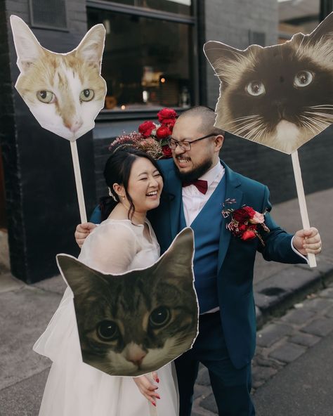 LONG & CAT // 🐈 // Long now has a total of 4 cats if you count his human cat, Cat, who is now his wife MEOW!!! The Long/Cat jokes/puns are never ending, and neither is their love, so now they are Longcat forever😻😻 The was a VERY fun winter wedding day at my home away from home @rupertonrupert with mind-blowing hanging florals by my gals @pompandsplendour and did you see the cake by @torte_by_mirjana 🤯🤯??? Celebranting by the lovely @georgiacelebrant 🥹 and so many more industry goodies! Now,... Cats In Weddings Ideas, Cat Wedding Decor, Cat Wedding Ideas, Cats Wedding, Hanging Florals, 4 Cats, Boda Ideas, Long Cat, Cat Jokes