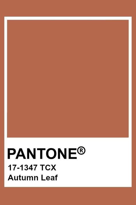 Brown Pantone, Pantone Tcx, Fw 2022, Pantone Color Chart, Pantone Swatches, Pantone Palette, Pantone Colour Palettes, Color Chip, Color Palette Design