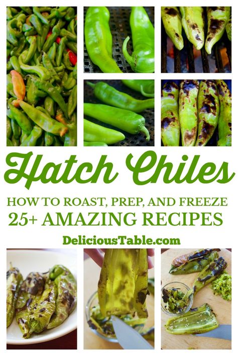 Hatch Pepper Recipes, Hatch Chili Peppers, Hatch Green Chili Recipe, Hatch Chili Recipes, Hatch Peppers, Hatch Chile Recipes, Hatch Green Chili, Green Chile Recipes, Hatch Chiles