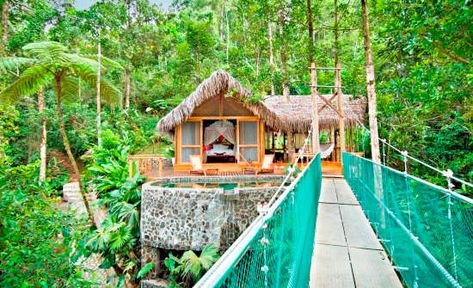 6 Best Costa Rica Treehouse Hotels Romantic Winter Getaways, Costa Rica Honeymoon, Honeymoon Vacations, Best Honeymoon Destinations, Honeymoon Planning, Costa Rica Vacation, Eco Lodge, Best Honeymoon, Adventure Vacation