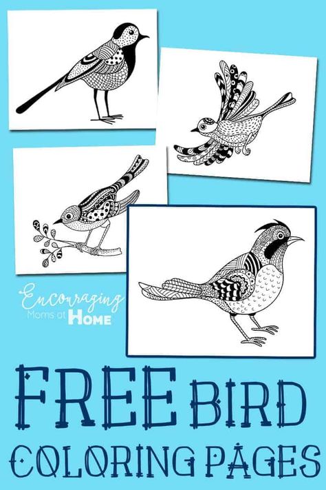 Are you studying birds in your homeschool this year?  Or maybe you just enjoy watching the birds that frequent your yard.  Either way, you are sure to enjoy these FREE printable coloring pages.  They are done in the style of populare adult coloring pages but are fun for adults and kids alike. Birds Theme, Birds For Kids, Bird Coloring, Bird Coloring Pages, Homeschool Encouragement, Free Bird, Bird Crafts, Bird Theme, Homeschool Art