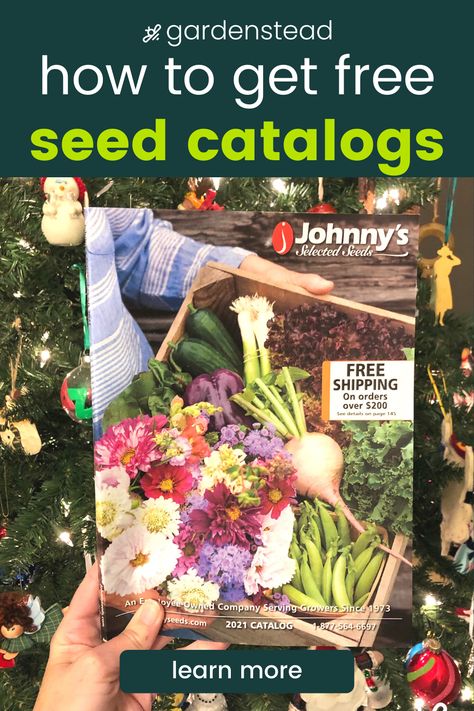 Heirloom Seeds Companies, Heirloom Seeds Catalog, Plant Store, Vintage Seed Packets, Garden Catalogs, Toy Catalogs, Rare Seeds, Seed Catalogs, Seed Saving