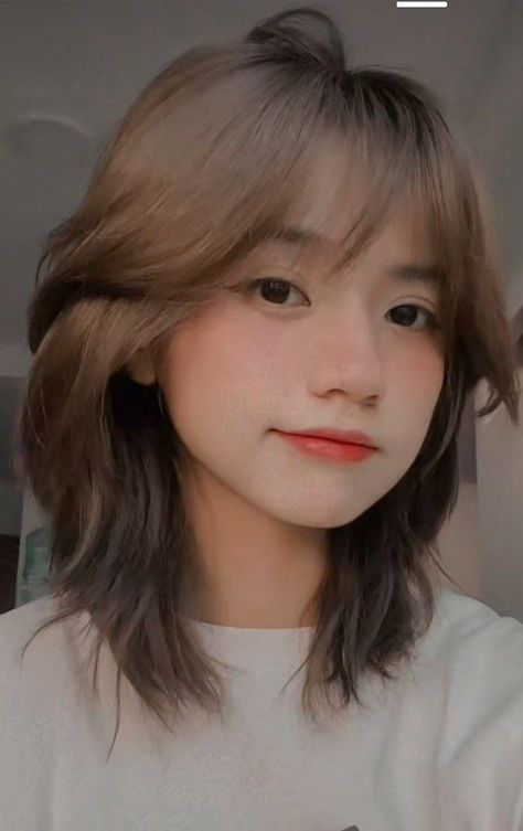 Wolfcut Shoulder Length With Bangs, Short Wolfcut With Bangs Korean, Wolfcut Hair Bangs, Korean Haircut Short Round Faces, Short Hair Cuts For Square Faces, Mulet Layer, Wolfcut For Round Face, Short Haircut For Square Face, Tomboy Hairstyles Round Face