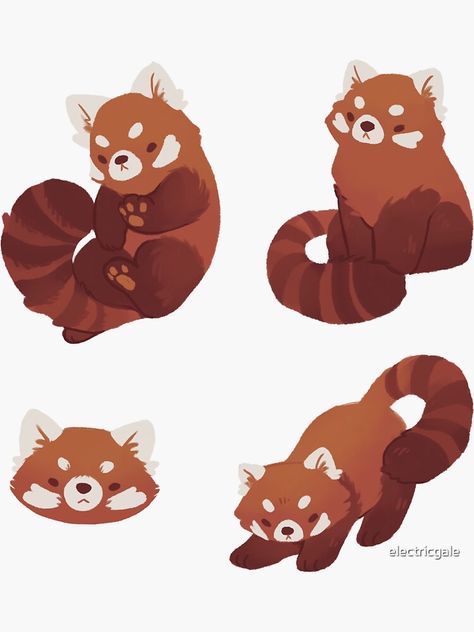 Red Panda Cute, Panda Illustration, Panda Drawing, Red Pandas, Animal Doodles, Panda Art, Animal Sketches, Red Panda, Cute Little Drawings