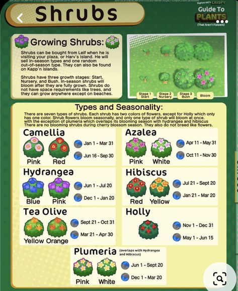 Acnh Flowers, Animal Crossing Fish, Types Of Shrubs, Planting Shrubs, Plant Guide, Hibiscus Tea, Animal Crossing Game, White Hydrangea, Animal Crossing