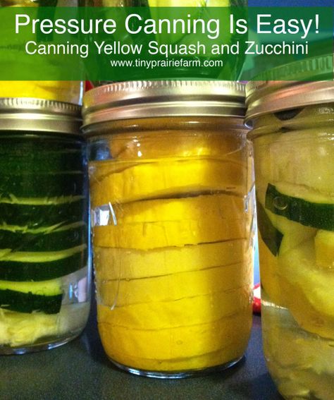 Pressure Canned Squash...wonder if this will work with spaghetti squash??? Canning Yellow Squash, Canning Squash, Canning Zucchini, Canned Zucchini, Canned Squash, Homestead Cooking, Squash And Zucchini, Store Fruit, Food Planning