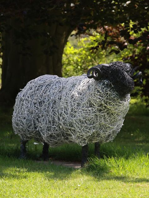 Sculptures Sur Fil, Chicken Wire Sculpture, Chicken Wire Art, Wire Art Sculpture, Sheep Art, Deco Nature, Metal Yard Art, Garden Art Sculptures Diy, Metal Garden Art