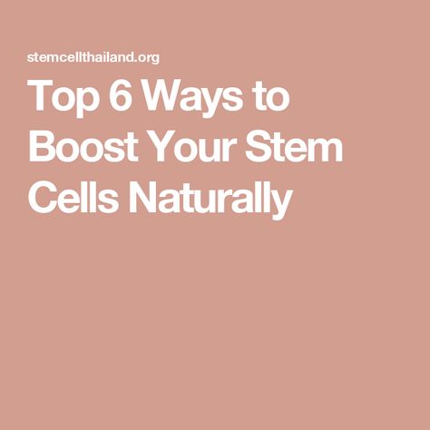 Top 6 Ways to Boost Your Stem Cells Naturally Preventive Medicine, Cell Growth, Turmeric Curcumin, Fatty Fish, Bone Marrow, Growth Factor, Respiratory System, Blood Vessels, Stem Cells