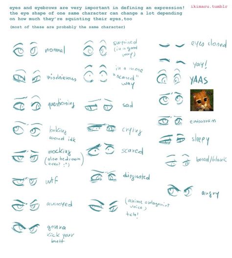 Eyebrow Expressions // Ikimaru Realistic Eye Drawing, Eye Expressions, Types Of Eyes, Drawing Expressions, Fete Anime, Anatomy Reference, Drawing Reference Poses, Eye Drawing, Drawing Tips