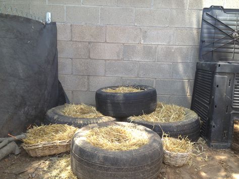 Created another use for these old tires.....duck nests! We'll see what they think. Tire Nesting Boxes For Chickens, Tire Chicken Nesting Boxes, Tire Nesting Boxes, Duck Nesting Boxes, Duck Enclosure, Happy Chickens, Backyard Ducks, Duck Coop, Raising Ducks