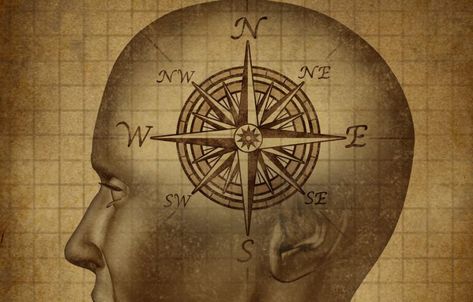 Do you have a magnetic compass in your head? | Human World | EarthSky Magnetic Compass, California Institute Of Technology, Earth's Magnetic Field, Magnetic Field, Human Brain, Health Check, Brain Health, Social Work, Compass Tattoo