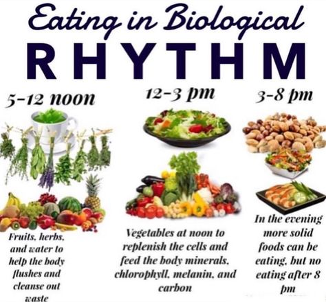 Higher To Health on Instagram: “Laws of eating in rhythm with your biological clock✨ There is a specific time every cell and organ functions different task in the body.…” Eating In Rhythm, Biological Clock, Body Functions, Healing Tips, Body Flush, Dr Sebi, Brain Food, Natural Haircare, Physical Activity