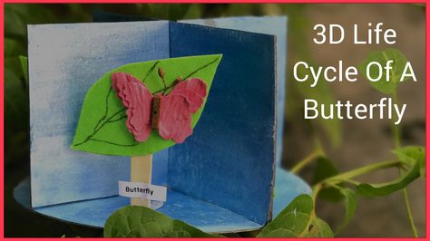 How To Make A 3D Model Of The Life Cycle Of A Butterfly | Kids Stop Press Butterfly Life Cycle Project, Life Cycle Of A Butterfly, Cycle Of A Butterfly, Elementary School Science, School Science Projects, Make Craft, Creative Napkins, Butterfly Life Cycle, Plant Life Cycle