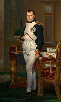 Napoleão Bonaparte Napoleon Josephine, Biography Books, Napoleon Bonaparte, French History, French Army, French Revolution, Classic Image, National Gallery Of Art, Napoleonic Wars