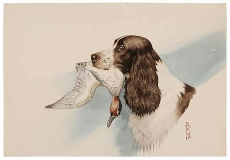 Norfolk Spaniel,English Springer Spaniel,Shropshire Spaniel,Duke of Norfolk,Boughey family,Rawdon Briggs Lee English Spaniel, Paintings Modern Art, Spaniel Art, Dog Calendar, Hunting Art, Puppy Day, Paintings Modern, Dog Grooming Business, Art Investment