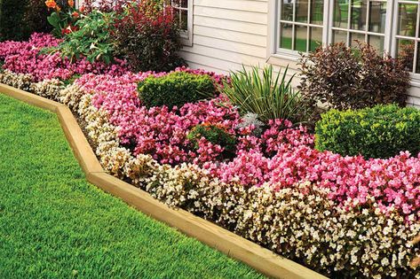 Landscape Timbers - Outdoor Essentials Front Flower Beds, Landscape Timbers, Flower Bed Designs, Flower Bed Ideas, Backyard Flowers, Video Garden, Landscape Edging, Modern Backyard, Landscape Fabric