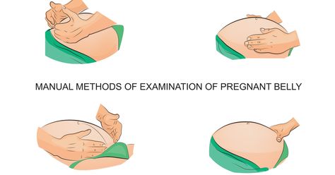 It is crucial to know the position of the baby inside your womb as the day of your delivery draws closer. Gynecologists usually consider Belly Mapping Pregnancy, Baby Inside, Do Baby, Mom Junction, Baby Fits, Baby Changing, How To Know, Knowing You, Map