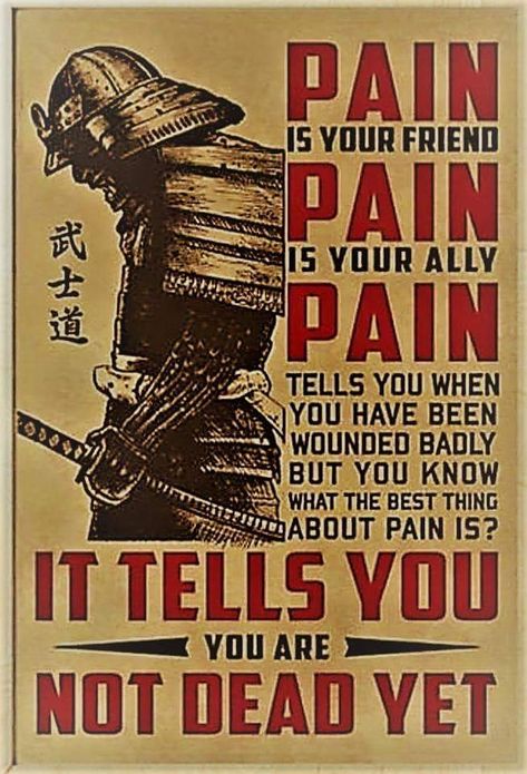 Pain is your friend. Samurai Quotes, Martial Arts Quotes, Viking Quotes, Military Quotes, Ju Jitsu, Inspirational Quotes With Images, Bestest Friend, Warrior Quotes, Best Motivational Quotes