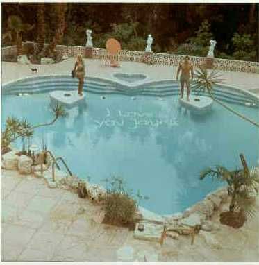 Heart Shaped Pool, Heart Pool, Jane Mansfield, Pink Palace, Old Hollywood Style, Easy Backdrops, Jayne Mansfield, Dream Pools, Backyard Retreat