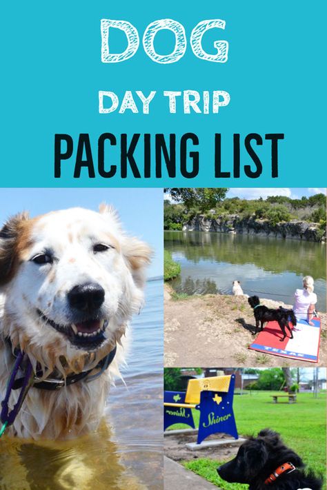 Packing list for a day trip with your dog! #dogs #dogfriendly #dogtravel Hiking With Dogs Packing List, Day Trip Packing List, Dog Packing List, Trip Packing List, Dog Friendly Vacation, Dog Travel Accessories, Trip Packing, Hiking Dogs, Dog Day