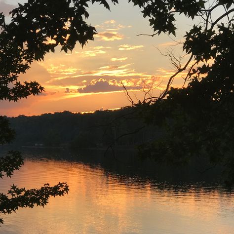 North Carolina Forest, North Carolina Lakes, Forest Sunset, Coastal Plain, Autumn Lake, Camping Area, Pier Fishing, Nature Preserve, It Doesn't Matter