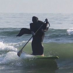 Unnerve your pals in a grim reaper costume on a stand up paddleboard <3 Grim Reaper Costume, Circus Music, Reaper Costume, Cursed Pictures, Hard Images, The Grim Reaper, Draw The Squad, Image Memes, Quality Memes