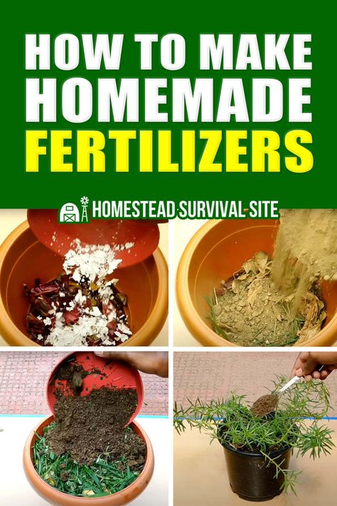 Are you interested in learning how to make your own homemade fertilizers to use on your garden or lawn? This guide will show you how to create customized fertilizers to feed your soil and help your plants and grasses grow strong and healthy. With these easy-to-follow steps and helpful tips, you'll be well on your way to creating your own homemade fertilizers for your garden or lawn. Yard Fertilizer Lawn Care, Homemade Fertilizer For Plants, Garden Fertilizers, Home Made Fertilizer, Homemade Plant Fertilizer, Natural Plant Fertilizer, Diy Fertilizer, Garden Remedies, Small Backyard Landscaping Ideas