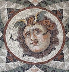 Detail of the Head of Medusa Mosaic from Antioch in the Princeton University Art Museum, August 2009 Rome Painting, Ancient Mosaic, Rome Aesthetic, Ancient Roman Art, Rome Fashion, Rome Art, Colosseum Rome, Roman Mosaic, Empire Romain