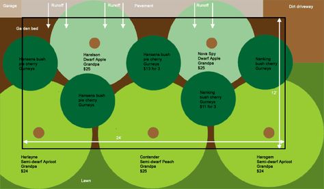 Fruit tree guild plans.  (how to plant beneficial plants around fruit trees) Permaculture Guilds, Orchard Planning, Fruit Tree Guild, Tree Guild, Forest Food, Aqua Farm, Fruit Tree Garden, Food Forest Garden, Orchard Design