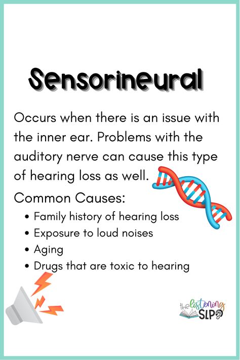 Learn more about sensorineural hearing loss. #audiology #healthinfo #speechtherapy #hearingloss Sensorineural Hearing Loss, Ear Anatomy, Speech And Hearing, Deaf Culture, Loud Noises, Hearing Loss, Therapy Ideas, Health Check, Health Info