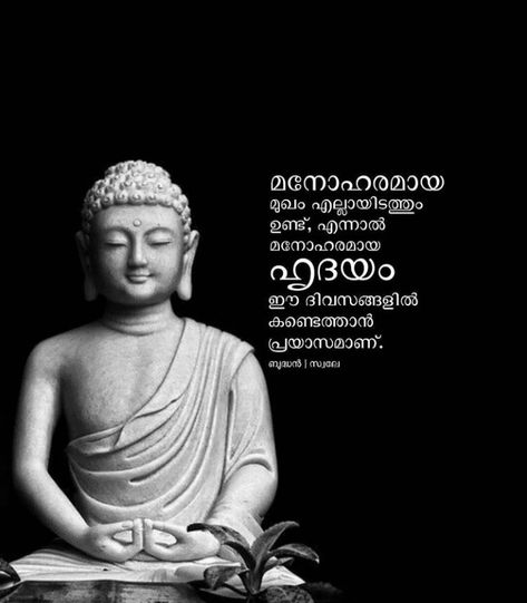 Sree Budha, Arts Quotes, Cityscape Wallpaper, Meaningful Quotes About Life, Movie Love Quotes, Malayalam Quotes, Good Morning Cards, Buddha Quote, Albert Einstein Quotes