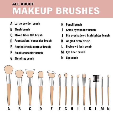 best makeup brushes to Blend Contour Makeup How To Blend Contouring, Blend Contour, Makeup Charts, Cheek Contour, Contouring Makeup, Best Makeup Brushes, Face Makeup Tips, Highlighter Brush, Brow Brush