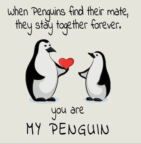 My Penguin Quote, Souls Dancing, True Love Art, Penguin Quotes, Husband Quotes Marriage, Love Poems For Him, Love You Quotes For Him, Morning Quotes For Him, Poems For Him