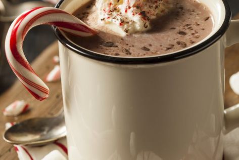 Peppermint Patty Cocktail Keto Hot Chocolate Recipe, Sugar Free Hot Chocolate, Diy Kombucha, Peppermint Hot Cocoa, Homemade Hot Cocoa, Hot Cocoa Recipe, Peppermint Hot Chocolate, Cocoa Recipes, Chocolate Caliente