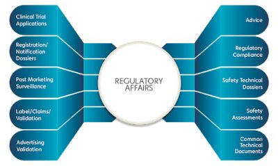 Pharma ACTD Dossiers: Regulatory Affairs Cyp450 Inducers And Inhibitors, Antacids Pharmacology, Current Affairs 2022 In English, Pharmacy Law And Regulations, Work Profile, Regulatory Affairs, Pharmaceutical Industry, Morning Sickness, Pharmacist