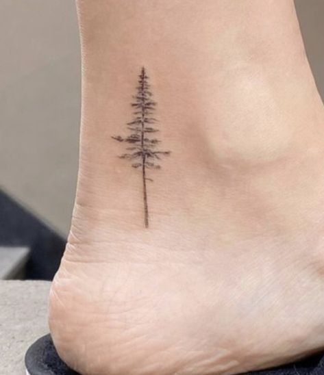 Snowdonia Tattoo, Deciduous Tree Tattoo, Nature Tattoos Ankle, Ankle Tree Tattoos For Women, Eagle Tree Tattoo, Delicate Pine Tree Tattoo, Evergreen Tattoo Meaning, Pine Tree Compass Tattoo, Summer Winter Tattoo