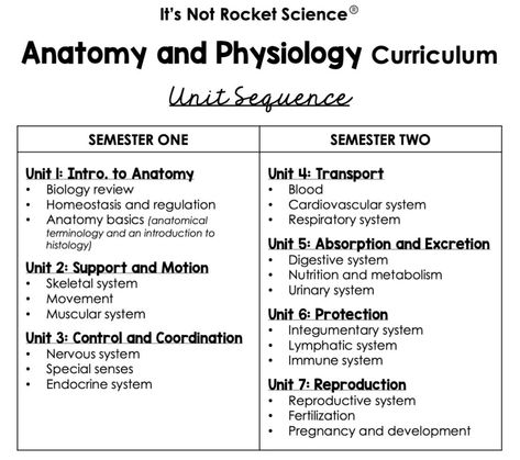 Anatomy and Physiology Scope and Sequence - It's Not Rocket Science Intro To Anatomy And Physiology Notes, College Anatomy And Physiology Notes, Anatomy Curriculum, High School Anatomy And Physiology, Anatomy And Physiology Notes, Highschool Classroom, Anatomy Classroom, Anatomy Teacher, Homeschool Coop