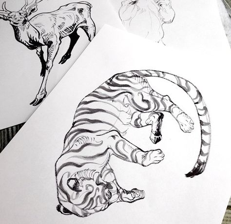 Jaw Cooper Jaw Cooper, Tiger Drawing, Monochromatic Art, Conceptual Drawing, Artist Sketchbook, Modern Tattoos, Figure Sketching, Tiger Art, Cool Sketches