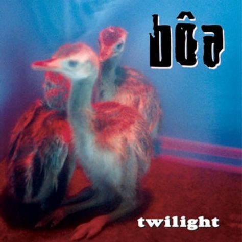 bôa - twilight Umibe No Onnanoko, Cool Album Covers, Desain Editorial, Music Poster Design, Music Album Covers, Music Album Cover, Music Covers, Band Posters, Album Songs