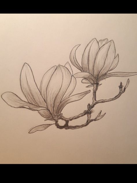 Magnolia Branch, Bird Tattoo, Flower Leaf, Magnolia Flower, Maybe One Day, Birds Tattoo, Leaf Tattoos, Maple Leaf Tattoo, Maple Leaf