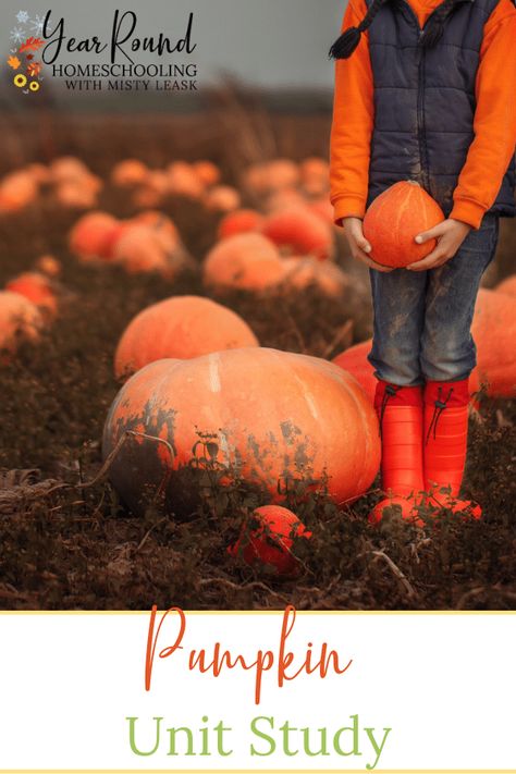 This pumpkin unit study is a great addition to your fall homeschooling! It includes articles, videos, art and craft ideas, food and more! #unitstudy #pumpkin #unit #homeschool #homeschooling #yearroundhomeschooling Pumpkin Toilet Paper Roll, Pumpkin Seed Crafts, Pumpkin Facts, Oatmeal Energy Bites, Pumpkins Kindergarten, Pumpkin Science, Baked Pumpkin Oatmeal, Pumpkin Spice Waffles, Pumpkin Unit