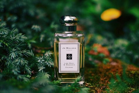 Jo Malone - Lime Basil & Mandarin Foreground Photography, Jo Malone Lime Basil Mandarin, Lime Basil And Mandarin, Lime Basil, Beautiful Perfume Bottle, Beautiful Perfume, Fashion Aesthetics, Jo Malone, English Garden