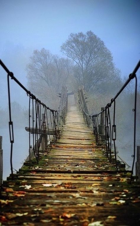 iCHIVE Desain Editorial, Wooden Bridge, Alam Yang Indah, A Bridge, The Gap, Where To Go, Beautiful World, Beautiful Photo, The Great Outdoors