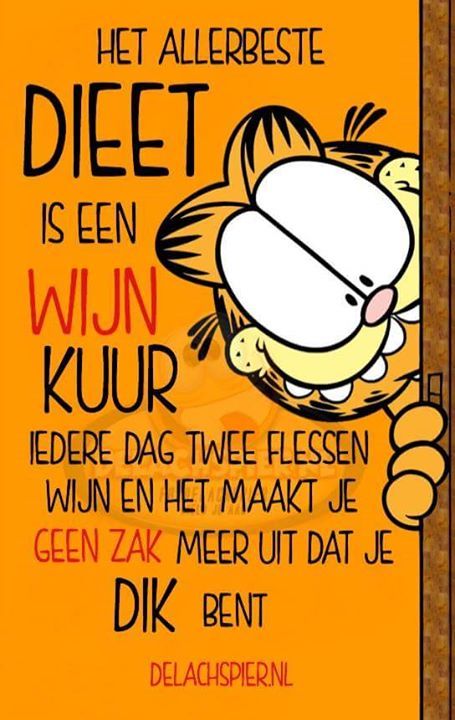 Het allebeste #dieet is een wijn kuur. Iedere dag 2 flessen wijn en het maakt je geen zak meer uit dat je dik bent Funny Sports Quotes, Dutch Quotes, Wine Quotes, Sports Quotes, Sports Humor, Jokes Quotes, Funny Cartoons, South Beach, Beautiful Quotes