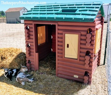 Playhouse Up-cycled to Goat Shelter How To Set Up A Goat Pen, Goat Pin Ideas, Goat Corral, Goat Pen Ideas, Goat Pin, Kiko Goats, Goat Life, Goat Playground, Goat Toys