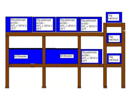 fish breeding setup Setup Fish Tank, Fish Breeding Setup, Wall Size Fish Tank, Guppy Breeding Setup, Shrimp Breeding Tanks, Betta Breeding, Guppy Breeding, Fish Store, Fish Room