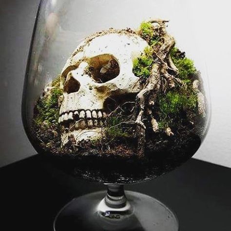 Terrarium Design, Halloween Decor Diy, Mini Terrarium, Special Halloween, Goth Home, Garden Terrarium, Terraria, Skull Decor, Theme Halloween