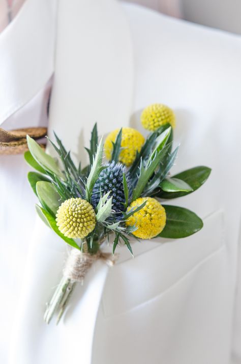 Thistle, Olive and Craspedia blue and yellow Buttonhole. Created by The Floral Design Boutique, wedding specialist Florist, Scotland Wildflower Buttonhole, Wedding Bouquet Olive, Craspedia Wedding, Terrain Design, Yellow Boutonniere, Thistle Bouquet, Yellow Flower Arrangements, Wedding November, Thistle Wedding