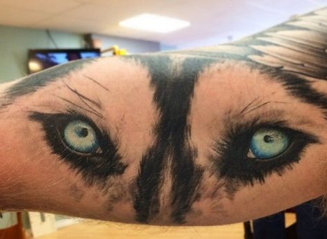 husky eyes tattoo Husky Dog Tattoo, Husky Tattoo Ideas, Husky Tattoo Design, Husky Tattoo, Husky Eyes, Pet Information, Eyes Tattoo, Paw Tattoo, Dachshund Mix